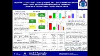 Expression Analysis of miRNA-4716-3p and its Target AKT2 Gene in Blood Cancer Patients Presentation