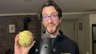 Daily Scratching Post, Episode 6: Apples and Oranges and Monkey Brains, Oh My!