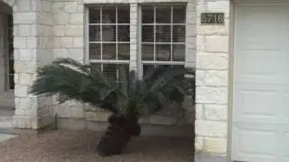 Rare Find in Travis Country, Austin, TX