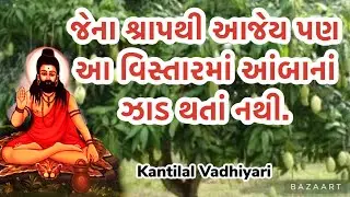 જેના શ્રાપથી આજેય પણ આ વિસ્તારમાં આંબાના ઝાડ થતાં નથી..kantilal Vadhiyari..
