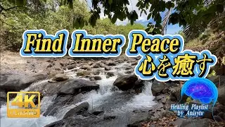 [Music for Sleep] Deep Sleep Healing Meditation | 417Hz Music & Forest Birds | 深い癒しの瞑想 |川のせせらぎ