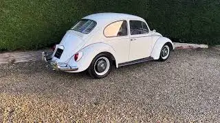 Vw beetle