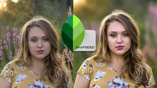 Snapseed Background Blur Snapseed Tutorial #shorts