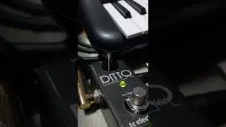 ルーパーエフェクター 042 YAMAHA PSS-A50、tcelectronic DITTO LOOPER、VOX MINI3