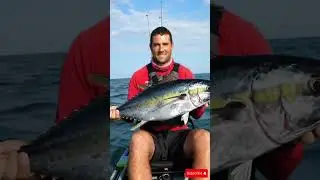 Big Waves, Bigger Fish &ndash; The Ultimate Fishing Trip! 🌊🎣🔥