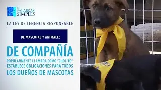En Palabras Simples 131: 