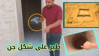 قلعه الصحراء. تسكنها طيور غريبه وأبار مخيفه وسراديب