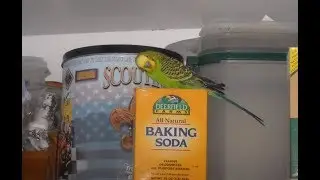 Sodium bicarbonate Baking Soda as healing Pink Noise Audio