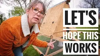 Introducing Baby Chicks to Flock | Mobile Chicken Coop/Brooder