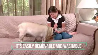 Pet sofa cover