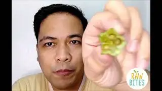 RAW BITES PH I Product Review