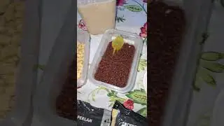 compte snap : pechebzh29 passion p&ecirc;che au coup