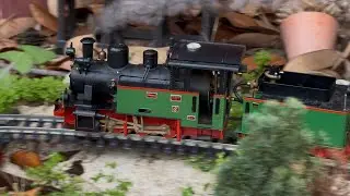 LGB Live Steam Frank S.