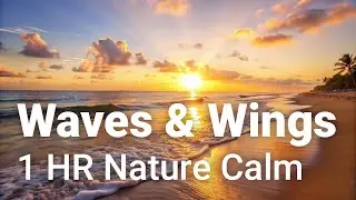Waves & Wings &ndash; Tranquil Coastal Vibes for a Quiet Mind - 1 Hour Relaxing Nature Ambience
