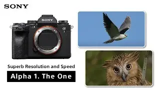 Unparalleled Speed and Resolution | Alpha 1 | Sony | &alpha;