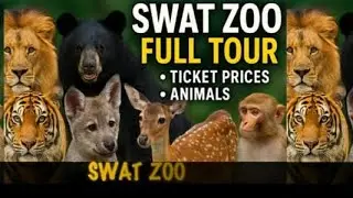 Swat Zoo Vlog | Kanju Township | Animals | Complete Tour | entry fee #swatzoo #swatvalley #zoo #lion