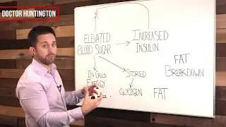 Does Insulin Make You Fat? | DiabeticManual