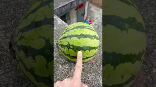 Will a watermelon explode if it rolls down from a tall building?