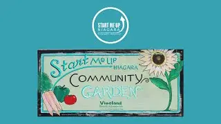 Welcome to SMUN's Green Garden