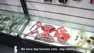 Dog Harness Manufacturer - QQPETS