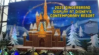 We Visited the Cinderella Castle Gingerbread Display 🎄 Contemporary Resort