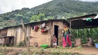 Nepali Mountain Village Life | Rainy Day | Shepherd Life | Organic Shepherd Food | Real Nepali Life