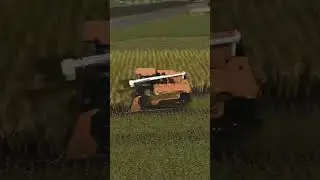 Harvesting rice 🌾 | Farming Simulator 25 #farmingsimulator #farmingsimulator25 #dailyfarmsim