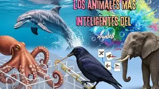 “Los animales más inteligentes del mundo y sus increíbles habilidades”