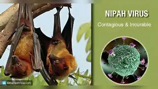 Deadly Nipah Virus Outbreak in India Raises Global Health Concerns