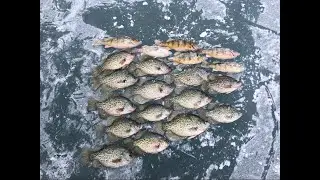 Slamming South Dakota Silver (Hungover)