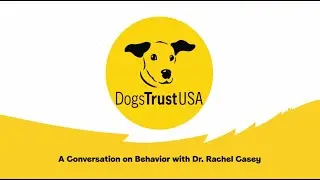Roundtable Discussion with Dr. Rachel Casey | Full Conversation | Dogs Trust USA