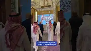 Saudi Royal Family Gives Trump a Leopard as a gift 🎁 🐆 #donaldtrump #trump #funny #maga #shorts