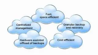 NetApp Snapshot Backups with VMware vCloud Director