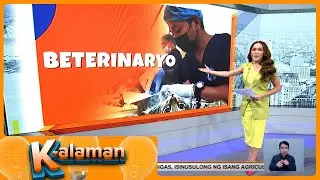 K-Alaman: Beterinaryo | Frontline Pilipinas