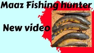 Murrl huntig#fishing #fishing