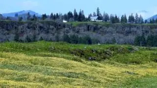 Rowena Plateau Loop