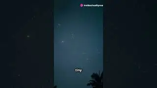 Mind-Blowing Galaxy Count in the Universe!