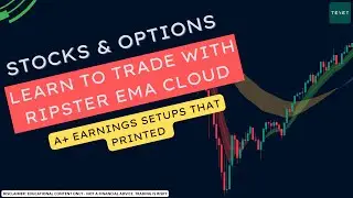 Мастер-настройки заработка: 200%+ воспроизведений на $SPY $AMD $TSLA $GOOGL $PFE