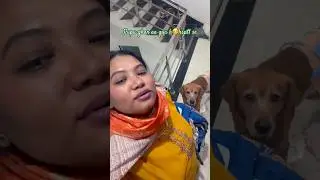 Pupu ghar aa gya hsptl se🥰 #pets #hospital #trending #viral #vlog #shorts #paws #dog #video #music