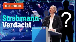 Spenden-Aff&auml;re bei der AfD: Dubiose Millionen und ein Phantom &ndash; Shortcut | DER SPIEGEL