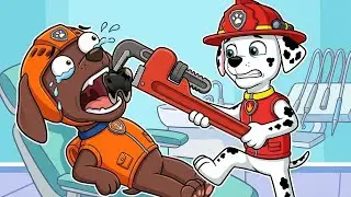 PAW PATROL: Zuma's Giant TOOTH Problem! 🦷 Marshall Saves the Day | Funny PAW Patrol Animation