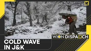 India: Bone-Chilling Cold Wave Engulfs Jammu Kashmir & Ladakh | World News | WION Dispatch