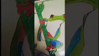 FROG drawing in colour pencil #artist #art
