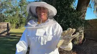 Mean BEES !!! Russian?