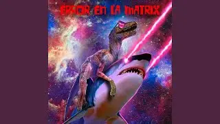 ERROR EN LA MATRIX