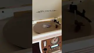 Taylor Swift - The Last Great American Dynasty | Folklore &ldquo;In the Trees&rdquo; Vinyl taylorswift #swiftie