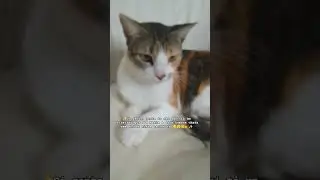 ✨desculpa n&atilde;o ter gravado ontem tive contra tempos✨