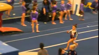 Sarah Vault2