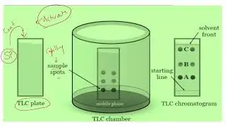 Thin Layer Chromatography (TLC in English) #Pharmacy #InstrumentalMethodsofAnalysis #chromatography