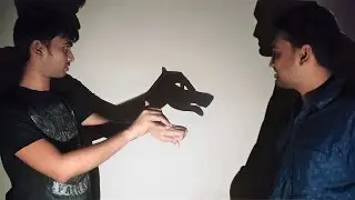 Hand Shadow Puppet Tutorial Part 2